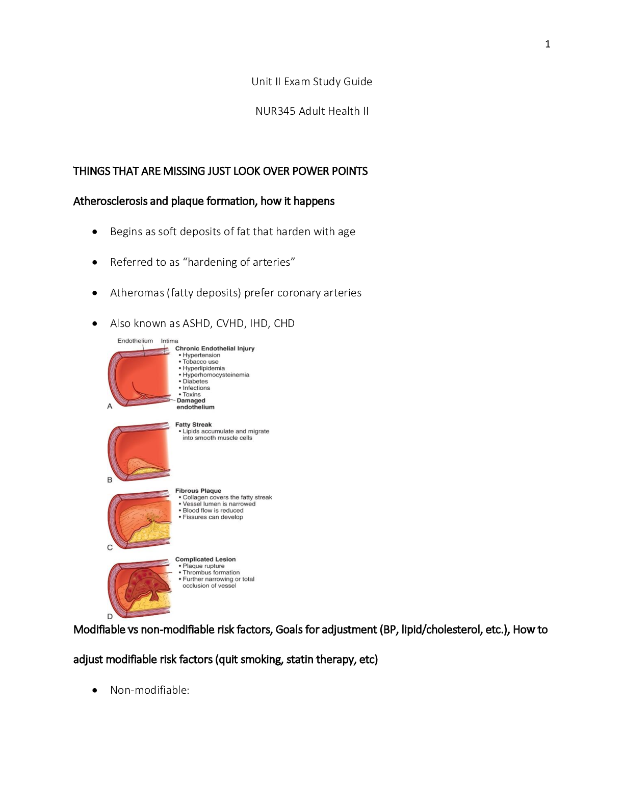 Preview of NUR 345 ATI Adult Health II Unit II Exam Study Guide